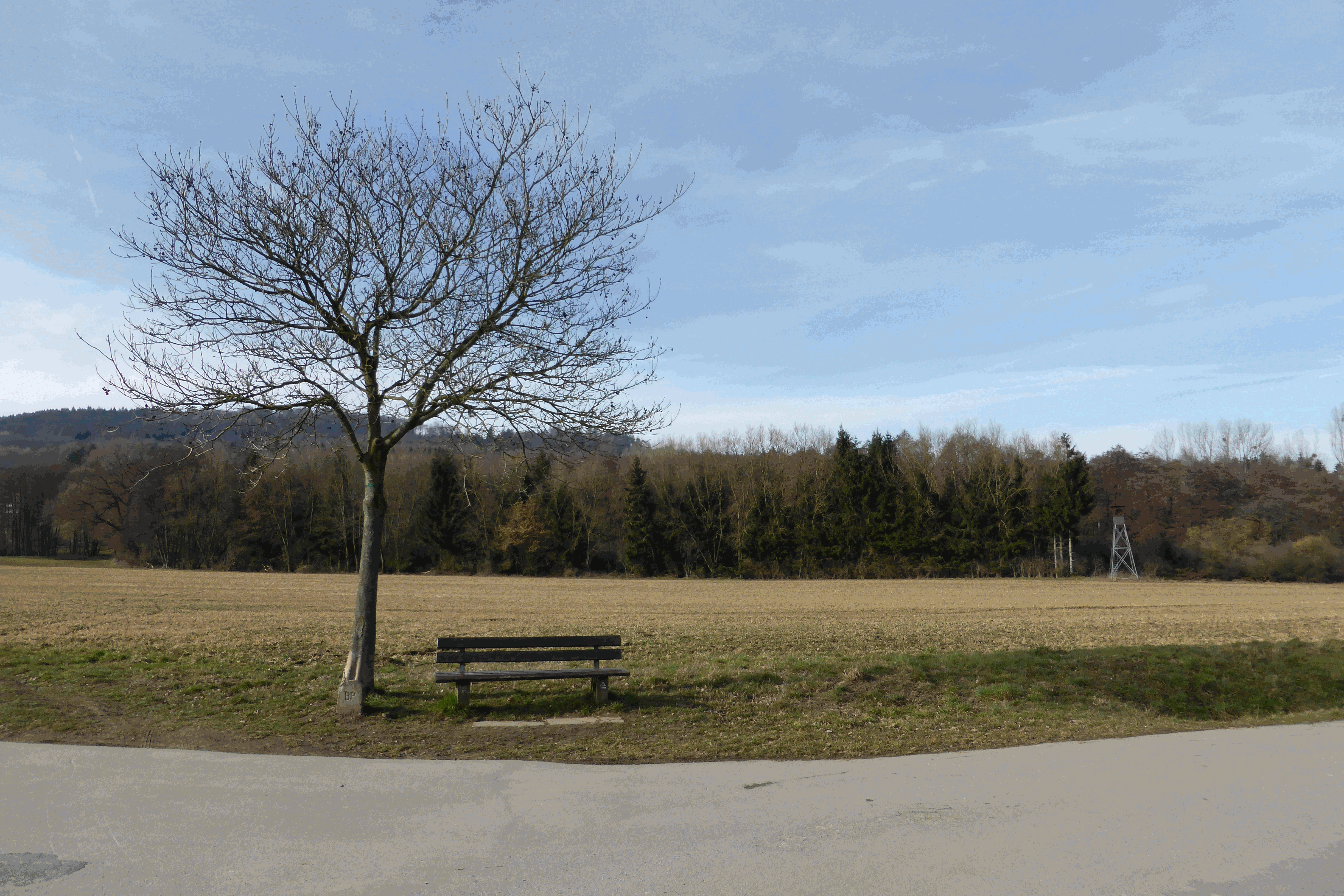 Erasmus_Plus_Buche_Bank