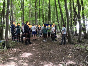 Spinnennetz_ohne_Gesichter